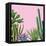 Background with Cactuses and Succulents Set. Plants of Desert.-incomible-Framed Stretched Canvas