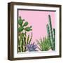 Background with Cactuses and Succulents Set. Plants of Desert.-incomible-Framed Art Print