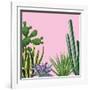 Background with Cactuses and Succulents Set. Plants of Desert.-incomible-Framed Art Print