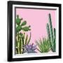 Background with Cactuses and Succulents Set. Plants of Desert.-incomible-Framed Art Print