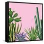 Background with Cactuses and Succulents Set. Plants of Desert.-incomible-Framed Stretched Canvas