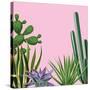 Background with Cactuses and Succulents Set. Plants of Desert.-incomible-Stretched Canvas