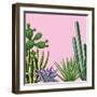 Background with Cactuses and Succulents Set. Plants of Desert.-incomible-Framed Art Print