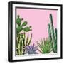 Background with Cactuses and Succulents Set. Plants of Desert.-incomible-Framed Art Print