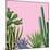 Background with Cactuses and Succulents Set. Plants of Desert.-incomible-Mounted Art Print