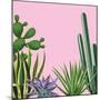 Background with Cactuses and Succulents Set. Plants of Desert.-incomible-Mounted Art Print