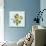 Background with Flowers Dandelion and Anchor-Rasveta-Art Print displayed on a wall