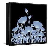 Background with X-Ray Poppy Flowers for Your Design-Vadym Nechyporenko-Framed Stretched Canvas