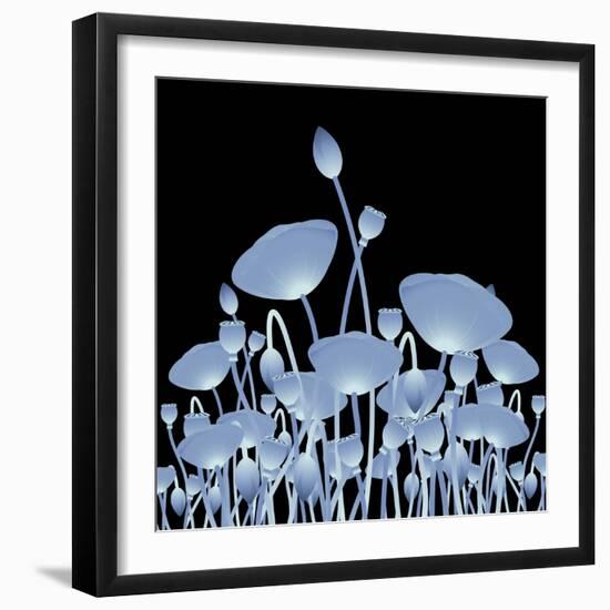 Background with X-Ray Poppy Flowers for Your Design-Vadym Nechyporenko-Framed Photographic Print