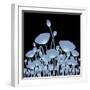 Background with X-Ray Poppy Flowers for Your Design-Vadym Nechyporenko-Framed Photographic Print