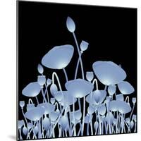 Background with X-Ray Poppy Flowers for Your Design-Vadym Nechyporenko-Mounted Photographic Print