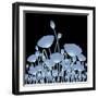 Background with X-Ray Poppy Flowers for Your Design-Vadym Nechyporenko-Framed Premium Photographic Print