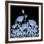 Background with X-Ray Poppy Flowers for Your Design-Vadym Nechyporenko-Framed Photographic Print