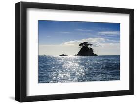 Backlight of a Lonely Rock Sitting in the Ocean-Michael-Framed Photographic Print