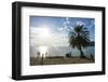 Backlight of Cape Malcear, Lake Malawi, Malawi, Africa-Michael Runkel-Framed Photographic Print