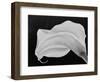 Backlit Calla Lily-John Ford-Framed Photographic Print