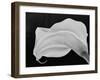 Backlit Calla Lily-John Ford-Framed Photographic Print