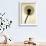 Backlit Dandelion-Jenny Kraft-Framed Art Print displayed on a wall