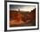 Backlit Hoodoos and Thor's Hammer, Bryce Canyon National Park, Utah, USA-Lee Frost-Framed Photographic Print