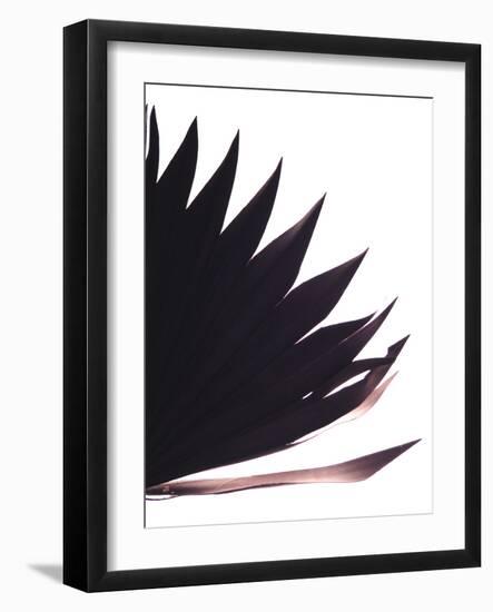 Backlit I-Monika Burkhart-Framed Photographic Print
