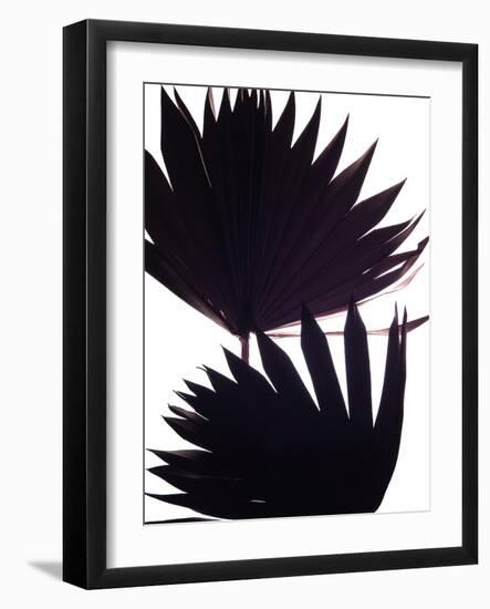 Backlit II-Monika Burkhart-Framed Photographic Print