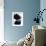 Backlit II-Monika Burkhart-Framed Photographic Print displayed on a wall