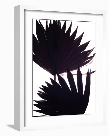 Backlit II-Monika Burkhart-Framed Photographic Print