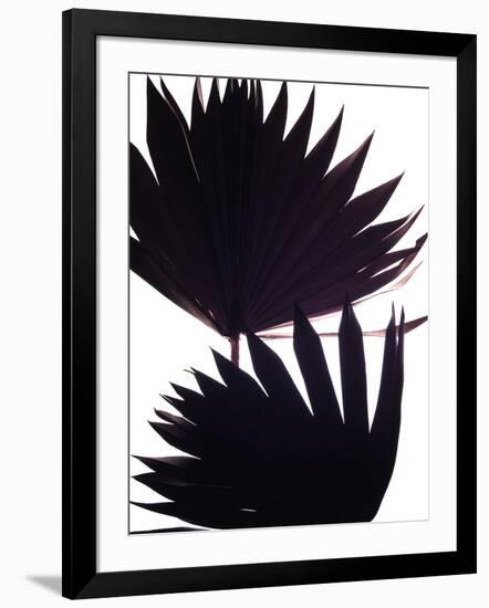 Backlit II-Monika Burkhart-Framed Photographic Print