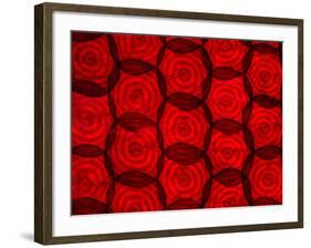 Backlit Illuminated Texture Beetroot-Food And Drink-Framed Photographic Print