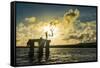 Backlit local boys jumping into the water of the lagoon of Wallis from a platform, Wallis and Futun-Michael Runkel-Framed Stretched Canvas