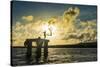 Backlit local boys jumping into the water of the lagoon of Wallis from a platform, Wallis and Futun-Michael Runkel-Stretched Canvas