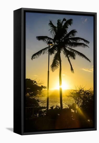 Backlit Palm Tree in the Fortress of Fortaleza San Felipe, Puerto Plata, Dominican Republic-Michael Runkel-Framed Stretched Canvas