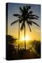 Backlit Palm Tree in the Fortress of Fortaleza San Felipe, Puerto Plata, Dominican Republic-Michael Runkel-Stretched Canvas