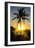 Backlit Palm Tree in the Fortress of Fortaleza San Felipe, Puerto Plata, Dominican Republic-Michael Runkel-Framed Premium Photographic Print