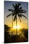 Backlit Palm Tree in the Fortress of Fortaleza San Felipe, Puerto Plata, Dominican Republic-Michael Runkel-Mounted Premium Photographic Print