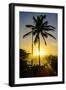 Backlit Palm Tree in the Fortress of Fortaleza San Felipe, Puerto Plata, Dominican Republic-Michael Runkel-Framed Photographic Print