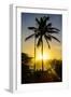 Backlit Palm Tree in the Fortress of Fortaleza San Felipe, Puerto Plata, Dominican Republic-Michael Runkel-Framed Photographic Print