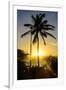 Backlit Palm Tree in the Fortress of Fortaleza San Felipe, Puerto Plata, Dominican Republic-Michael Runkel-Framed Photographic Print