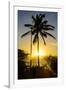 Backlit Palm Tree in the Fortress of Fortaleza San Felipe, Puerto Plata, Dominican Republic-Michael Runkel-Framed Photographic Print