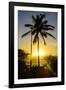 Backlit Palm Tree in the Fortress of Fortaleza San Felipe, Puerto Plata, Dominican Republic-Michael Runkel-Framed Photographic Print