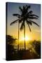 Backlit Palm Tree in the Fortress of Fortaleza San Felipe, Puerto Plata, Dominican Republic-Michael Runkel-Stretched Canvas