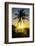 Backlit Palm Tree in the Fortress of Fortaleza San Felipe, Puerto Plata, Dominican Republic-Michael Runkel-Framed Photographic Print