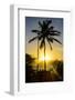 Backlit Palm Tree in the Fortress of Fortaleza San Felipe, Puerto Plata, Dominican Republic-Michael Runkel-Framed Photographic Print