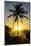 Backlit Palm Tree in the Fortress of Fortaleza San Felipe, Puerto Plata, Dominican Republic-Michael Runkel-Mounted Photographic Print