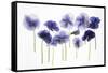 Backlit Pansies-null-Framed Stretched Canvas