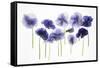 Backlit Pansies-null-Framed Stretched Canvas