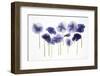 Backlit Pansies-null-Framed Photographic Print