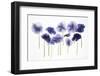 Backlit Pansies-null-Framed Photographic Print