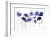 Backlit Pansies-null-Framed Photographic Print