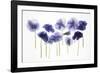 Backlit Pansies-null-Framed Photographic Print